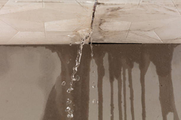 Professional Water Damage Repair technician working in Kenedy, TX